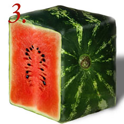 kockaste lubenice 3