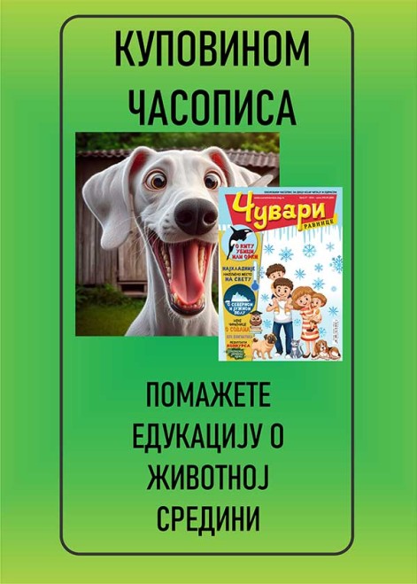 CUVARI KUPOVINA 1
