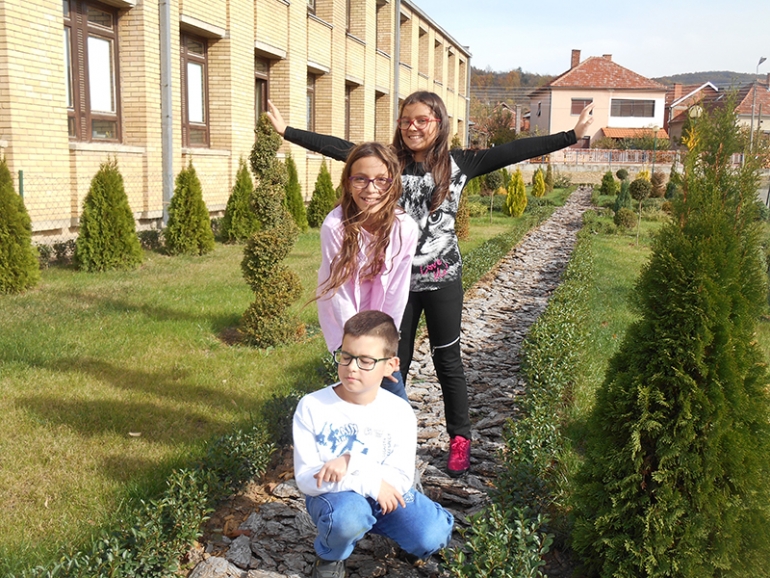 O&Scaron; "DUBRAVA",  KNJAŽEVAC - ZELENI  DUBRAVCI